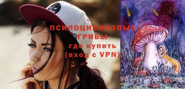 твердый Алзамай
