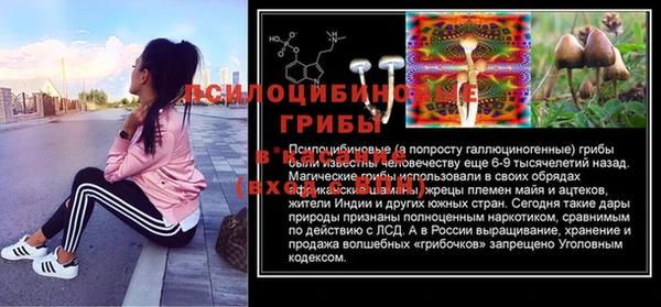 твердый Алзамай