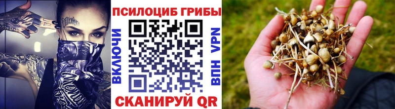 Псилоцибиновые грибы Cubensis  даркнет сайт  Долинск 